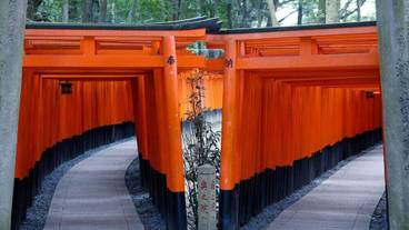 観光スポット / 4