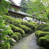 境内の宿 紅葉館（島根県）（島根県 旅館） / 3