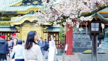 シティ ビュー / 18