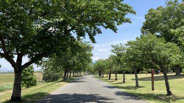 観光スポット / 9