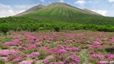 ランド ビュー / 30