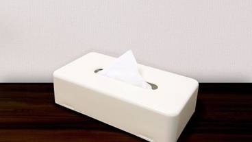 客室の設備とサービス / 17