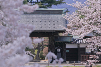 米沢牛、さくらんぼ、上杉神社、上杉まつり…。どれも魅力いっぱい！3927239