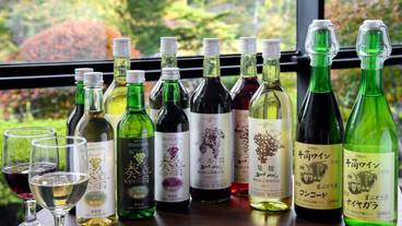 食事・飲み物 / 17