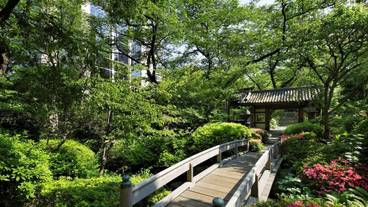 日本庭園① / 12