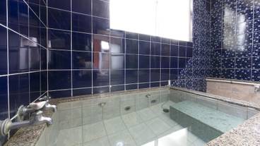 屋内スパ浴槽 / 5