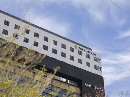 THE BLOSSOM KUMAMOTO / 5