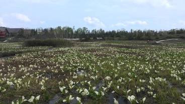 施設の敷地 / 19