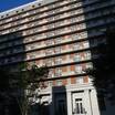 １３階建て