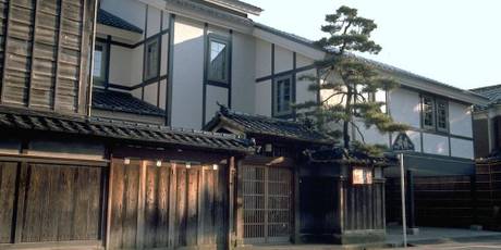 カメリアイン雪椿