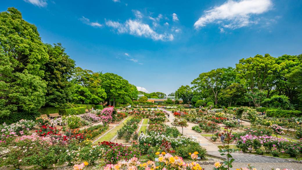 福岡市動植物園 / 1