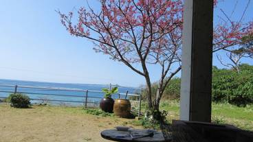 テラス / パティオ / 9