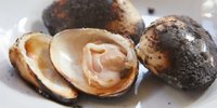 土を食べるフレンチ。唯一無二の味を五反田「ヌキテパ」で