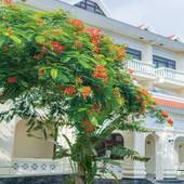 アダ・ガーデンホテル沖縄（沖縄県 リゾートホテル） / 4