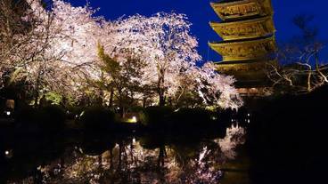 観光スポット / 9