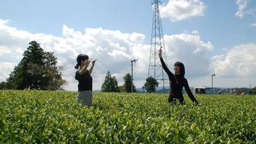 エコツアー / 14