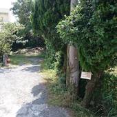 手広BeachBackpackers（奄美大島）（鹿児島県 民宿） / 2