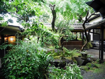 源泉浴と養生食で体内をリセットする！4755330