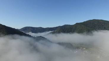 ランド ビュー / 21