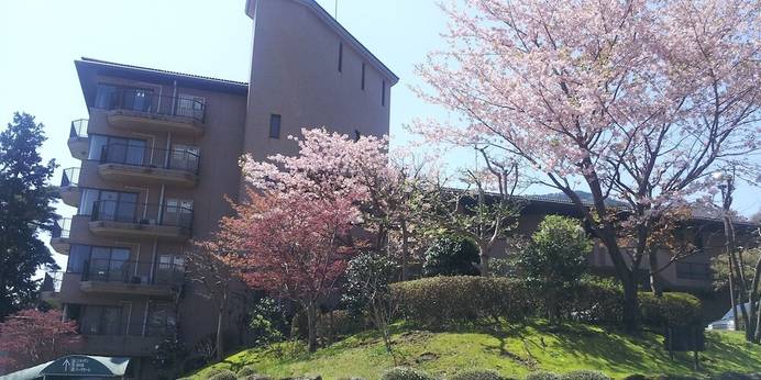 小涌谷温泉 ウィスタリアンライフクラブ ヴェルデの森(神奈川県 リゾートホテル) / 1