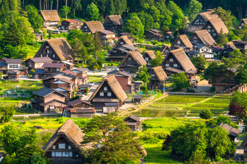 [Gifu] Panoramic view of Shirakawa-go, early summer