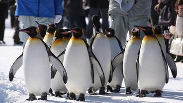 観光スポット / 7