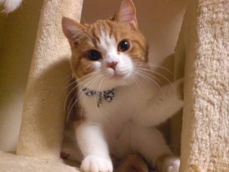 プチホテル アニスガーデン / 3