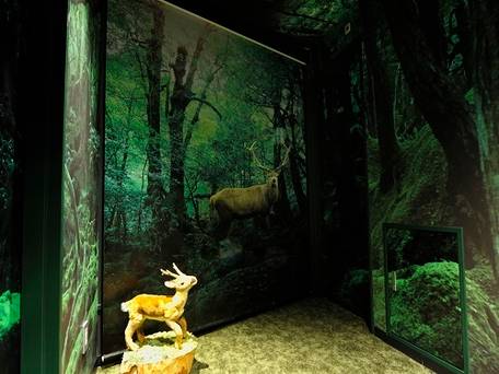 EN SHIBUYA HOTEL（エンホテル 渋谷） / 1