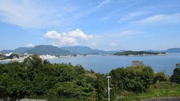 ビーチ / オーシャン ビュー / 20