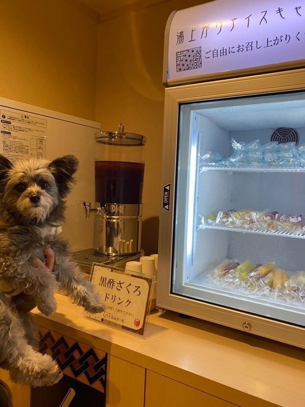 nico.pomapooさんの写真 / 1