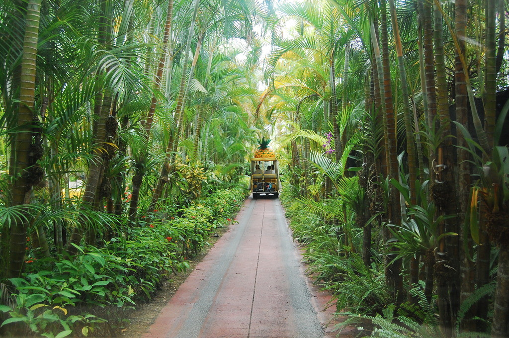 宿泊は観光スポットがたくさんある名護へ！4083748