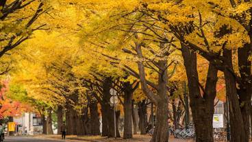 シティ ビュー / 18