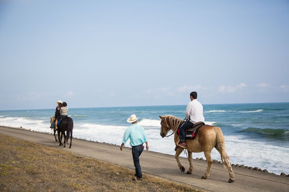 アクティビティ