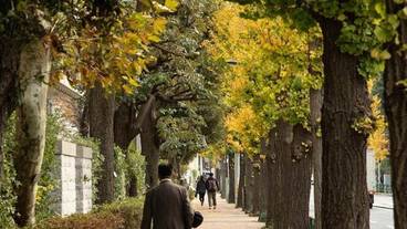 施設の敷地 / 13