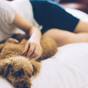 【楽天限定】さき楽30! 30日前の早い予約でお得★スタイリッシュな愛犬旅行を。ご予約はお早めに | 霧島の森に佇むオーベルジュ AUBEGIO霧島観光ホテル