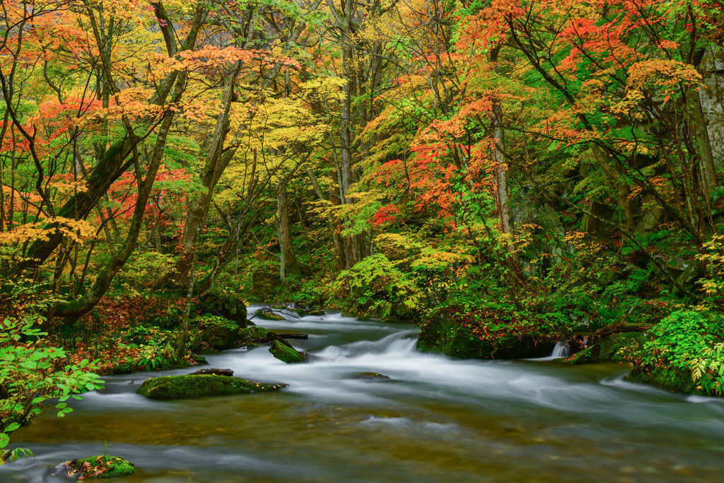 東北は、名湯の宝庫♪4251496