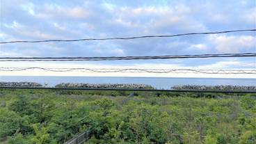 施設からの眺望 / 15