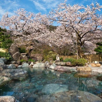 花見も雪見も楽しめる露天風呂！3634389