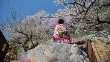 施設からの眺望 / 8