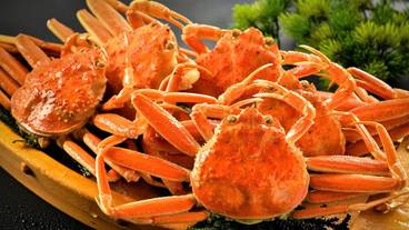 食事・飲み物 / 10