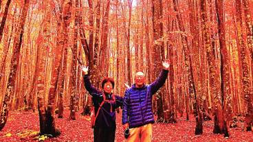 施設の敷地 / 32