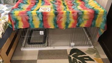 リビング エリア / 7