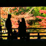 【京都】平成最後の紅葉旅行♡カップルでほっこり過ごせるおしゃれ宿5選