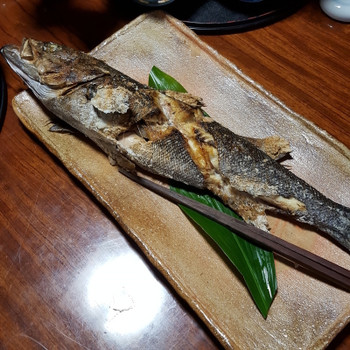 「真魚家」料理 702344 焼魚はスズキ