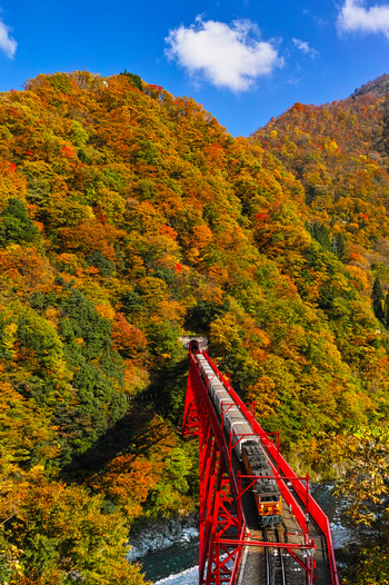 宇奈月トロッコ列車