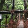 【徳島の秘境紹介！】祖谷のかずら橋と奥祖谷二重かずら橋