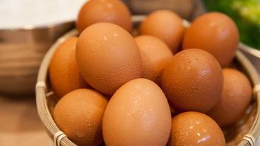 朝食ビュッフェ / 1