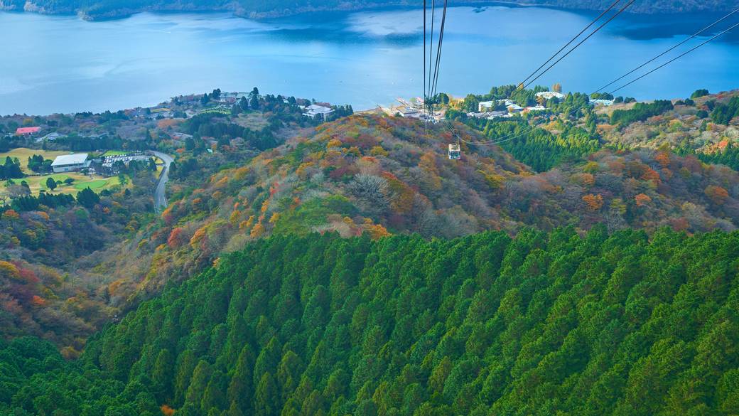 ロープウェイで
箱根の大自然を一望 / 1