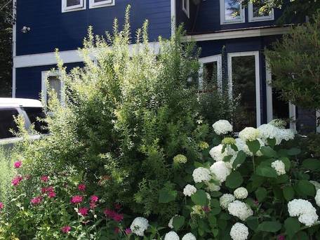 ベルキャビンゲストハウス / 3