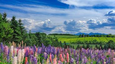 観光スポット / 10